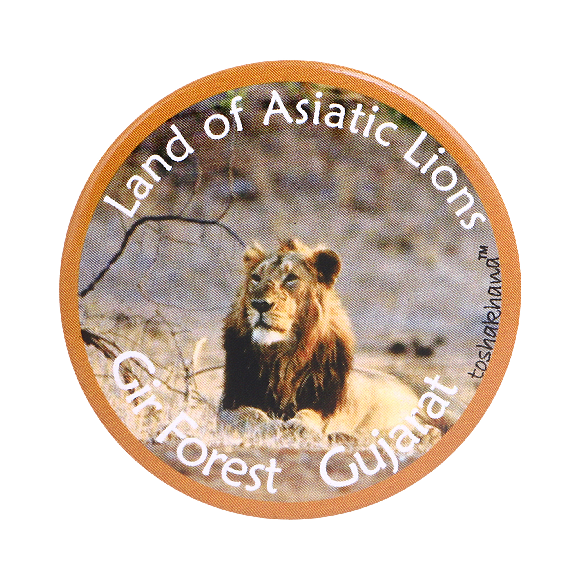Button Pin Badge Cum Fridge Magnet Gir Forest Gujarat